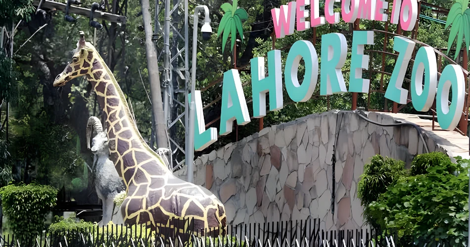 Lahore Zoo: A Timeless Landmark of Wildlife and Heritage